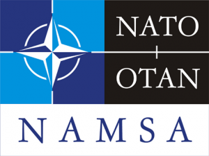 Namsa logo